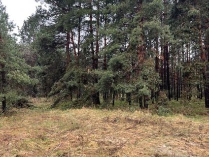 Участок 70 с, Вышгородский р-н, Киевская обл,Днепр, Киевское море Вишгород