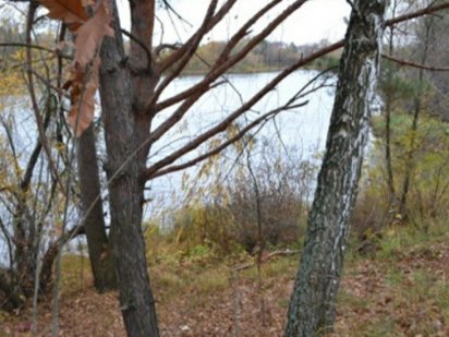 Продам-23сот.- з лісом та прямим виходом на Обвідний канал Вышгород