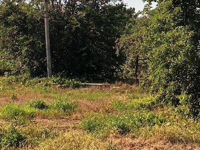 Земельный участок в Карнауховке Кам'янське