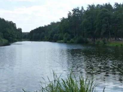 Продам участок в заповедной зоне, под Киевом. Срочно! Вышгород