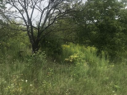 Ділянка продаж 6 сотих