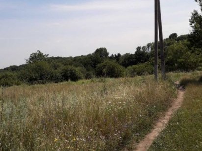 дачна ділянка- окраїна Василькова.