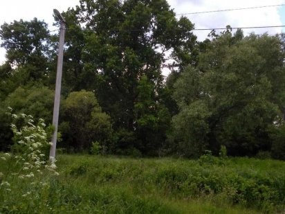 Земельный участок под застройку город Васильков, р-н Писки