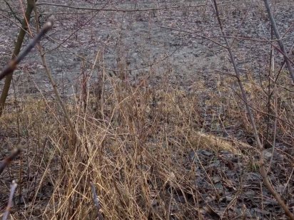 Терміновий продаж земельної ділянки зі старим будинком !