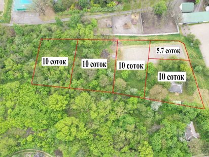 Васильків 46 соток поруч з лісом