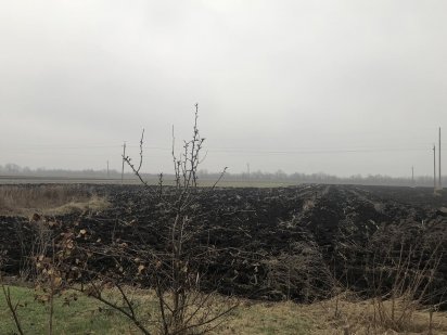 Продажа земельного участка Кам'янське