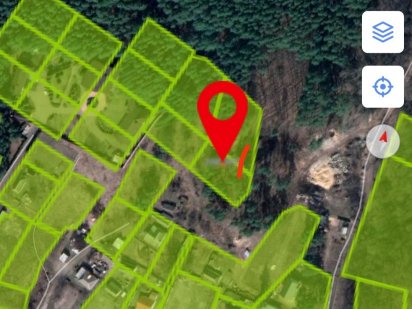 Земельна ділянка 25сот.  з соснами