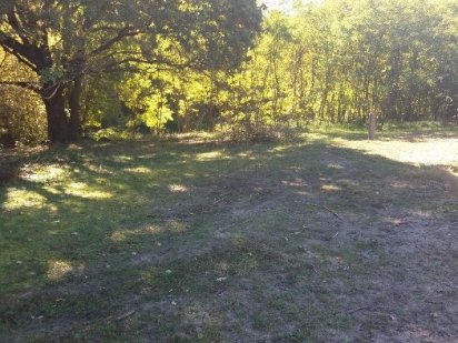 Продам участок на пісках Васильків