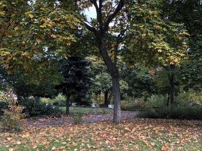 Продам участок в Вышгороде Вышгород