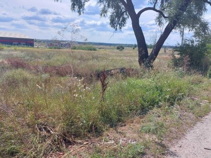 Продам участок под застройку 30 соток .ТОРГ. Вышгород