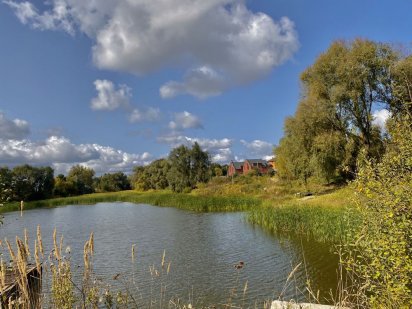 Ділянка в Гостомелі над Озером Світло/Газ поруч (Ціна за всю ділянку!) Гостомель