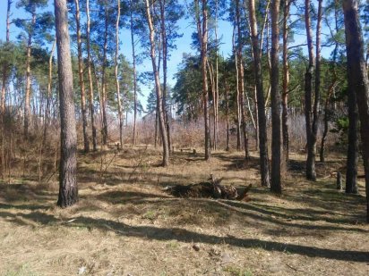 Продам земельну ділянку