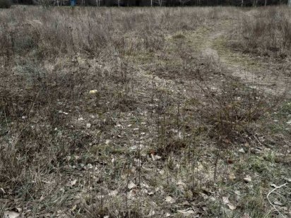 Дачна ділянка 11 соток з електрикою Васильків