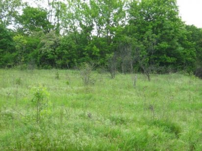 Гостомель, ст. Нефтяник-1, участок Гостомель