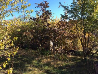 Продам дачну ділянку біля Василькова