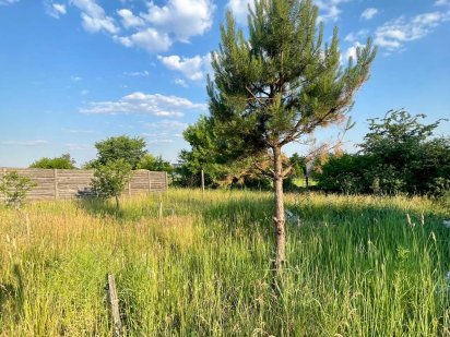 Успей приобрести Участок 24сотки с Коммуникациями Гостомель Гостомель