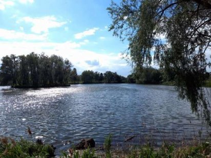 Гостомель  6 соток Гостомель