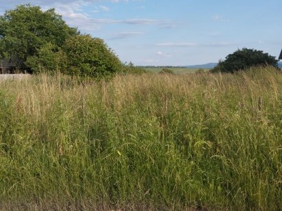 Продається земельна ділянка в м.Долина Долина