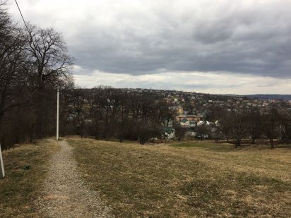 Земля 10 сотих під будівництво м. Долина, вул. Томашівського 1А Долина