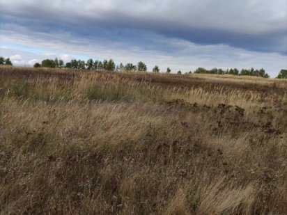 Гостомель, земельный участок 12 соток, без комісії, власник! Гостомель