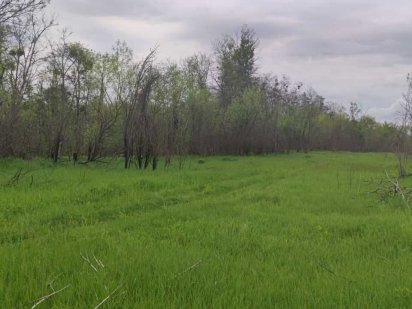 Продаж земельної ділянки 27 соток в с. Гостомель.