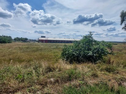 Продам участок  150 соток .Цена 600 дол. за сотку. ТОРГ. Гостомель