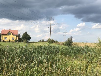 Земельна ділянка Дрогобич