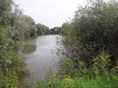 Продам земельну ділянку Здолбунов