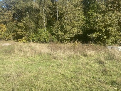 Земельный участок Ирпень, Романовка Гостомель