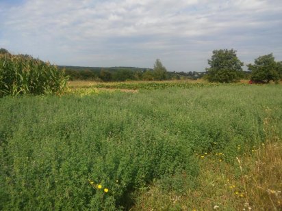 Продам участок Жмеринка