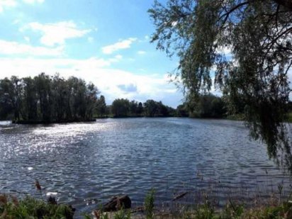 Продам власну ділянку, або обмін на авто. Гостомель