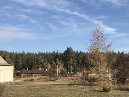 Продам два участка (21+21) 43 сотки Артюховка, Змиев Змиев