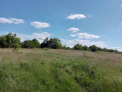 Продам 33 га земли Знаменка