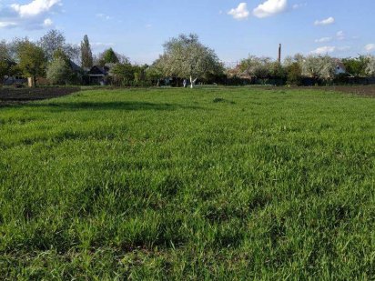 Продается дом и 25 соток земли г. Знаменка Кировогр. обл. 590тыс Знам'янка