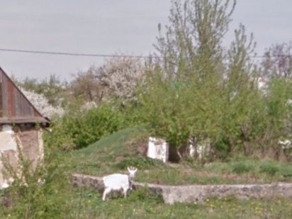 Продаж земельної ділянки під житлову забудову в Козятині, 14,4 сотки Козятин