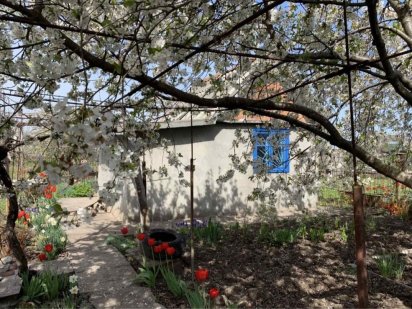 Земельный участок с домом в Ветеране(ближайший пригород в Черноморске) Чорноморськ