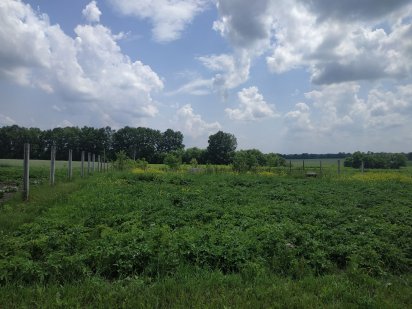 Земельна ділянка Козятин