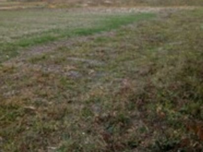 Продам земельну ділянку Вінницька обл. с. Козятин, вул. Садова, 64 Козятин