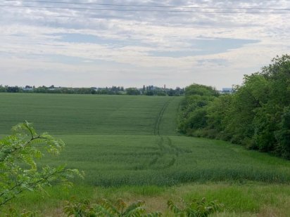 Земля комерческого назначения 1,6 га Чорноморськ