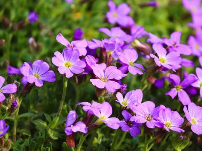 Участок недорого