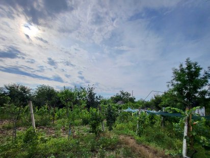 Продам       2  дачных  участка  садоводство Восход Ізмаїл