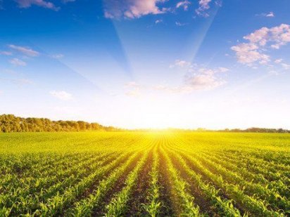 Земля 50 соток . Калуш