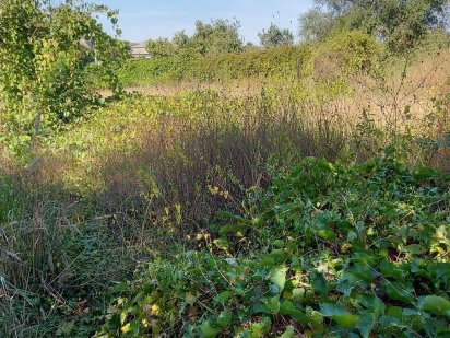 Участок 8,6 сотки Ореховая балка