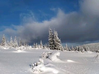 Земля.Карпати.Гірська ділянка на схилі гори з власними джерелами. Калуш