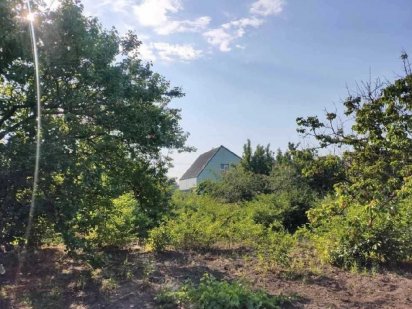 Продается участок в СОГ " Волна" Черноморск