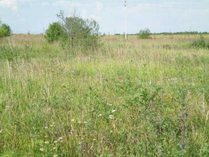 Участок правильной формы с.Молодежное ! Чорноморськ