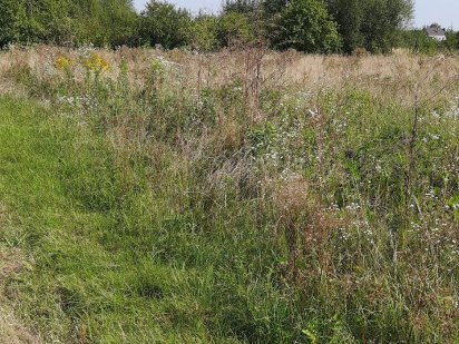 Дачна ділянка масив "Світанок" Ковель