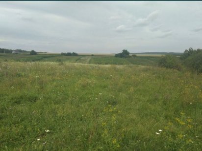 Продається земельна ділянка. Кам'янець-Подільський