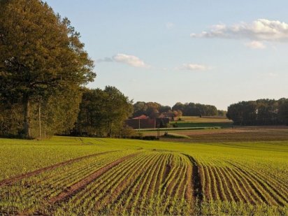 Земельна ділянка!