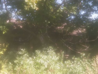 продам дачну земельну ділянку Коломия